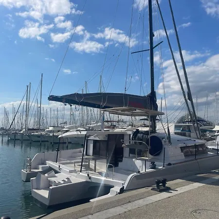 Petit Goeland * לה גרנד מוט