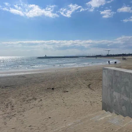 Petit Goeland * לה גרנד מוט