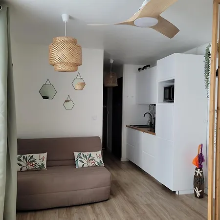 Petit Goeland דירה לה גרנד מוט