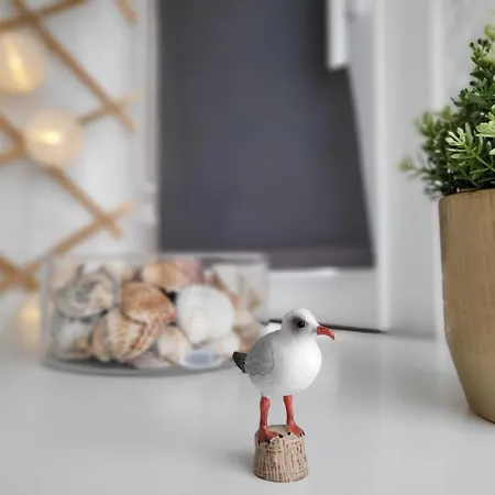 Petit Goeland דירה *